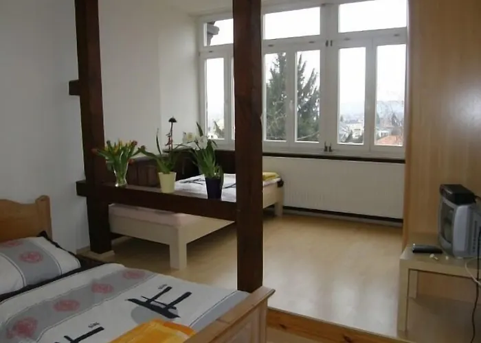 Bellevue Apartment *